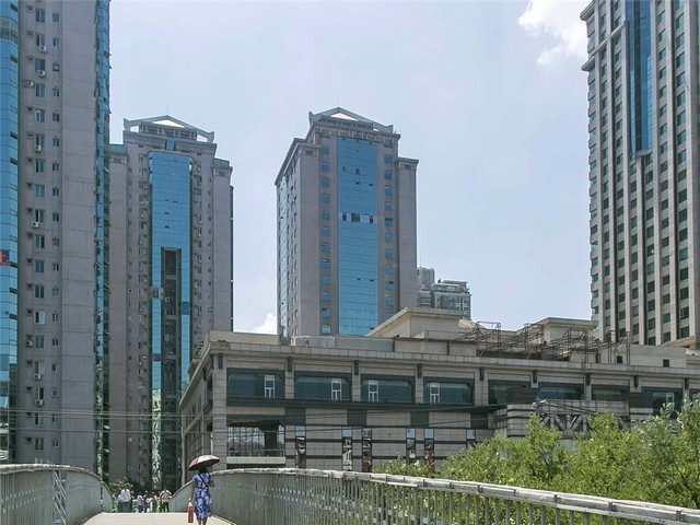 商务花卉租赁价格